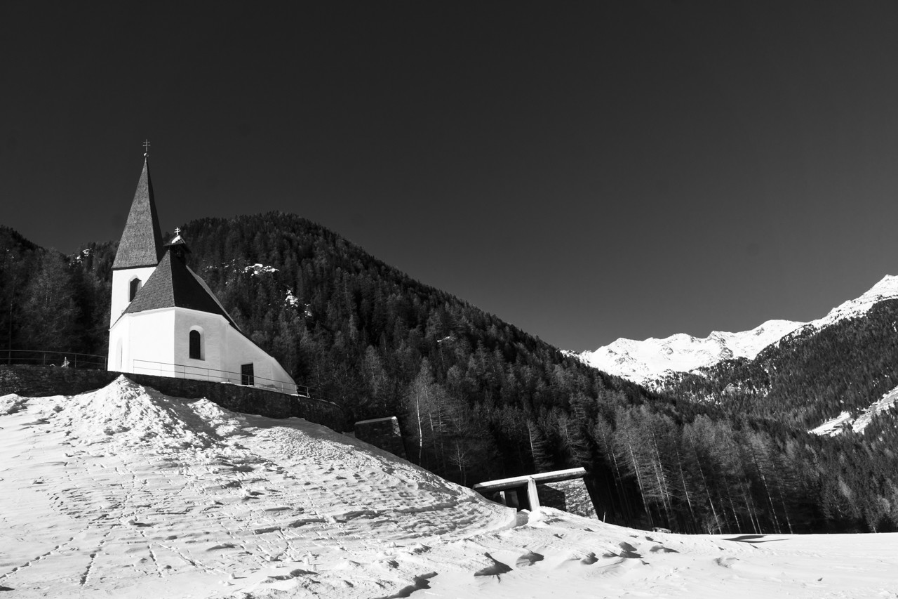 _DSC5535