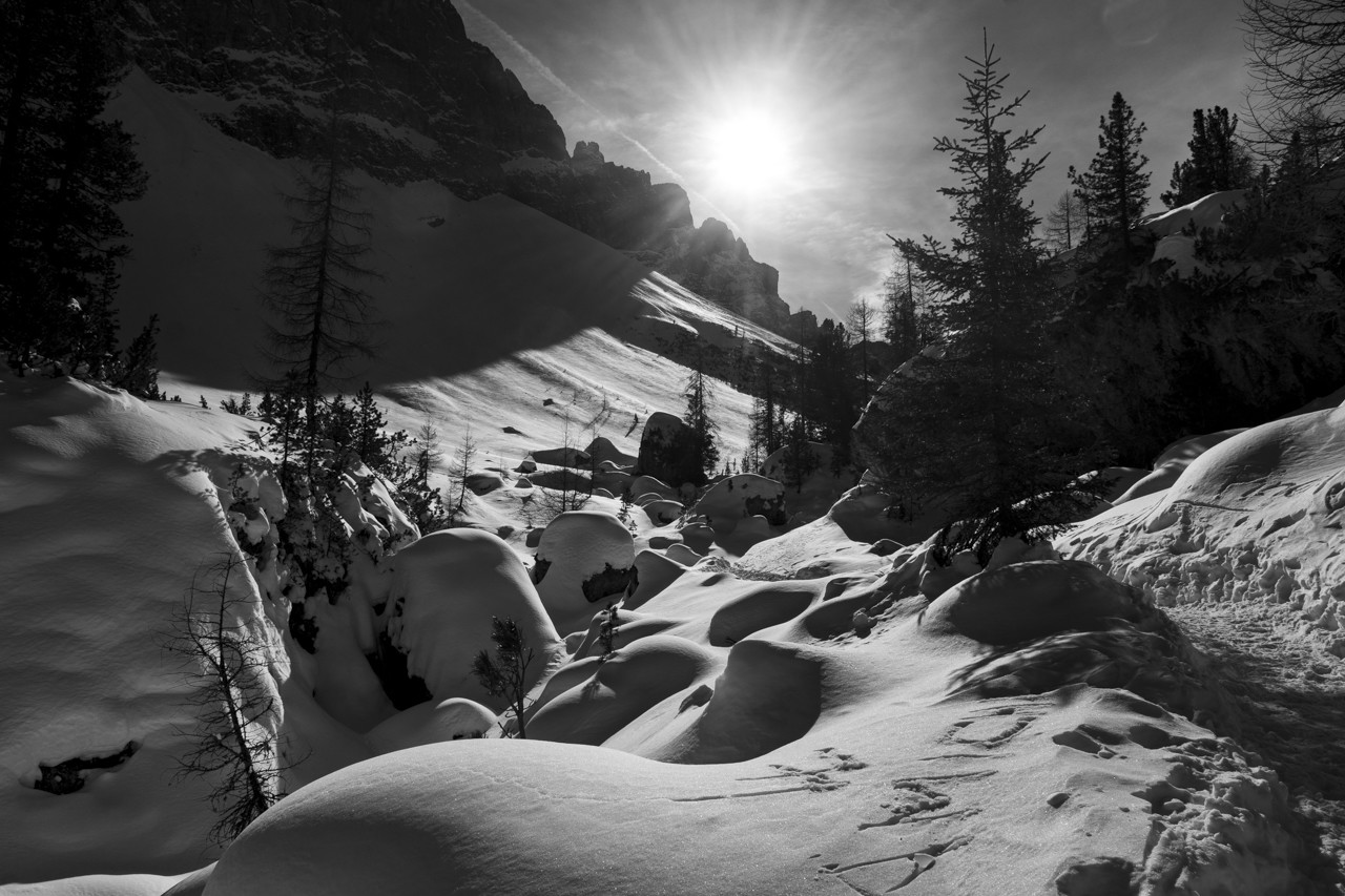 _DSC5623